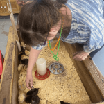 Independent Living & Respite Care